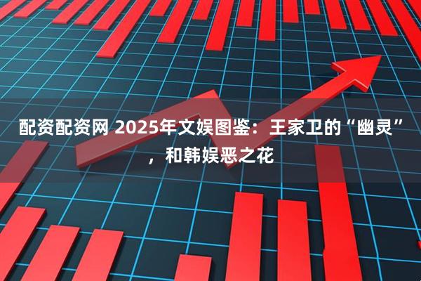 配资配资网 2025年文娱图鉴：王家卫的“幽灵”，和韩娱恶之花